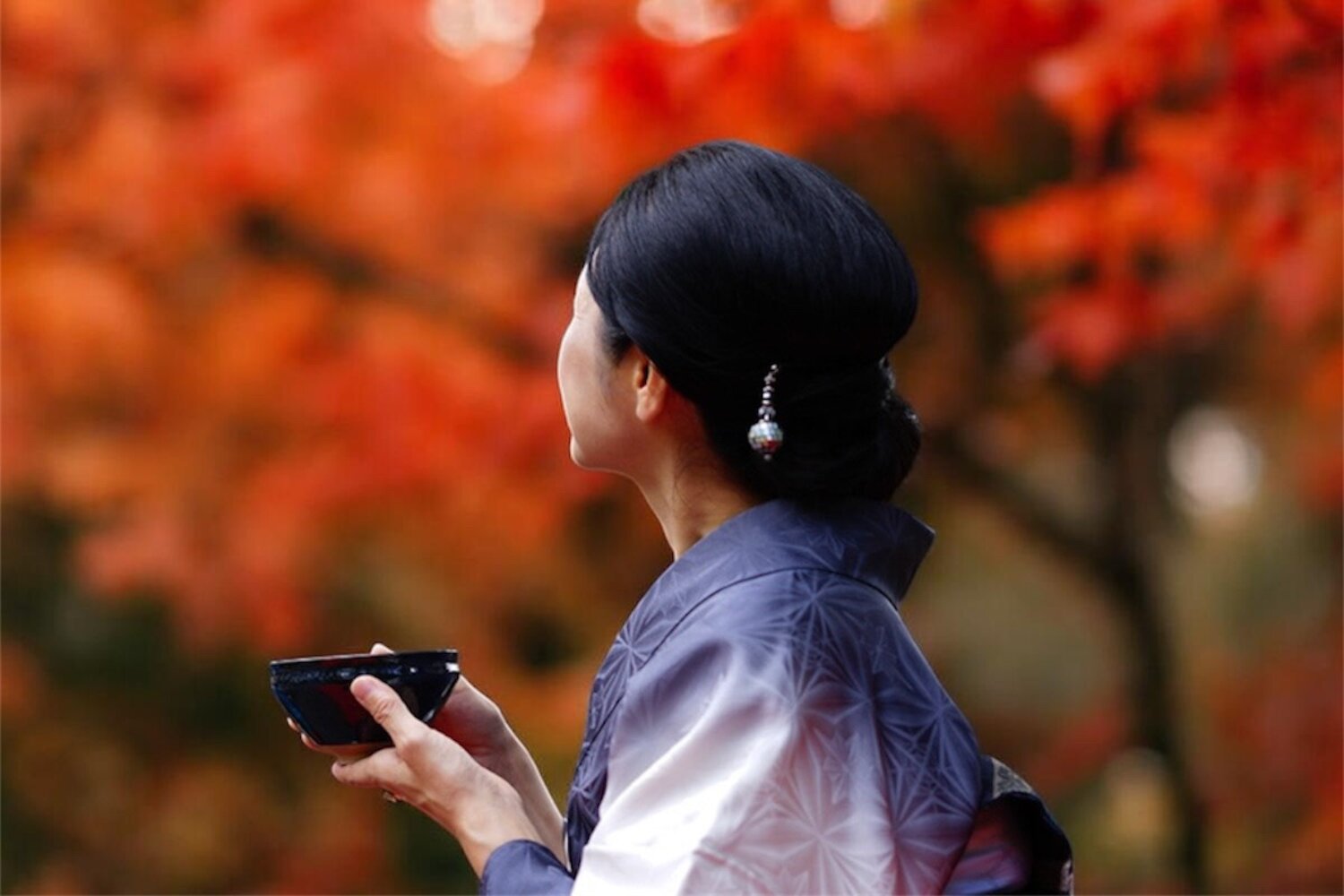 着物で、秋のお出かけ。紅葉を。