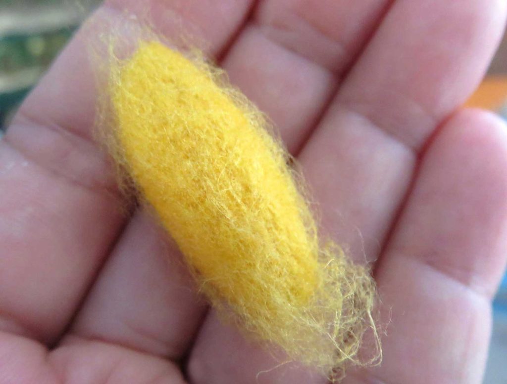 黄色い糸を吐くお蚕さんの繭