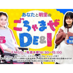 ごちゃまぜDE&I